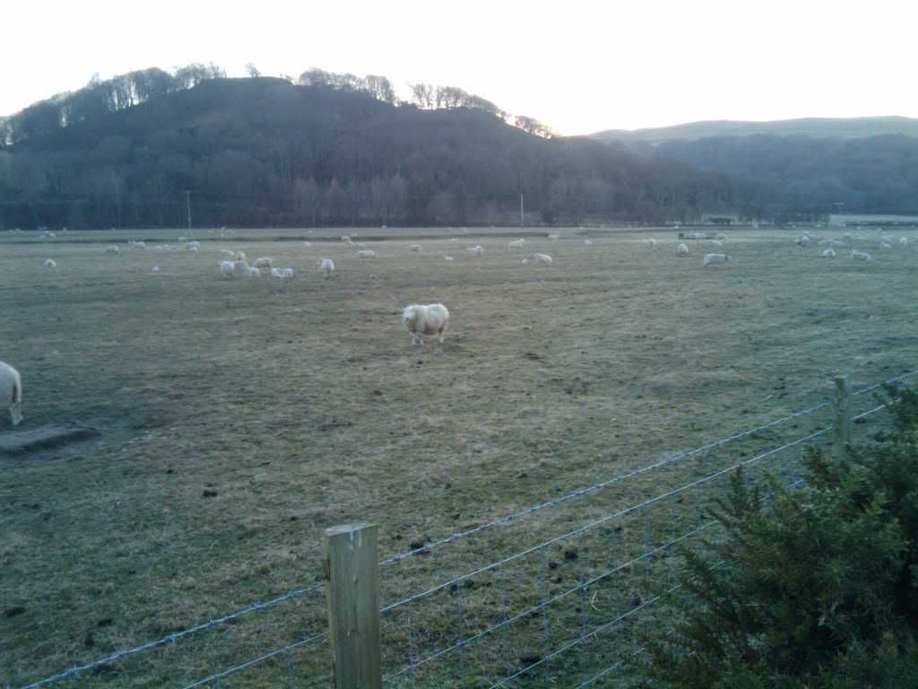 20100311180007.jpg