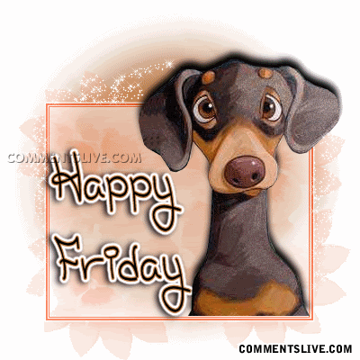 friday-pupHAPPYFRIDAY.gif