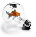 fish in light bulb Pictures, Images and Photos