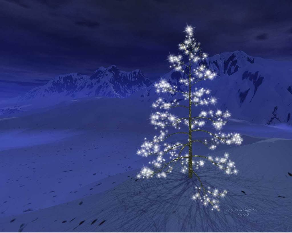 Tree of Lights Pictures, Images and Photos