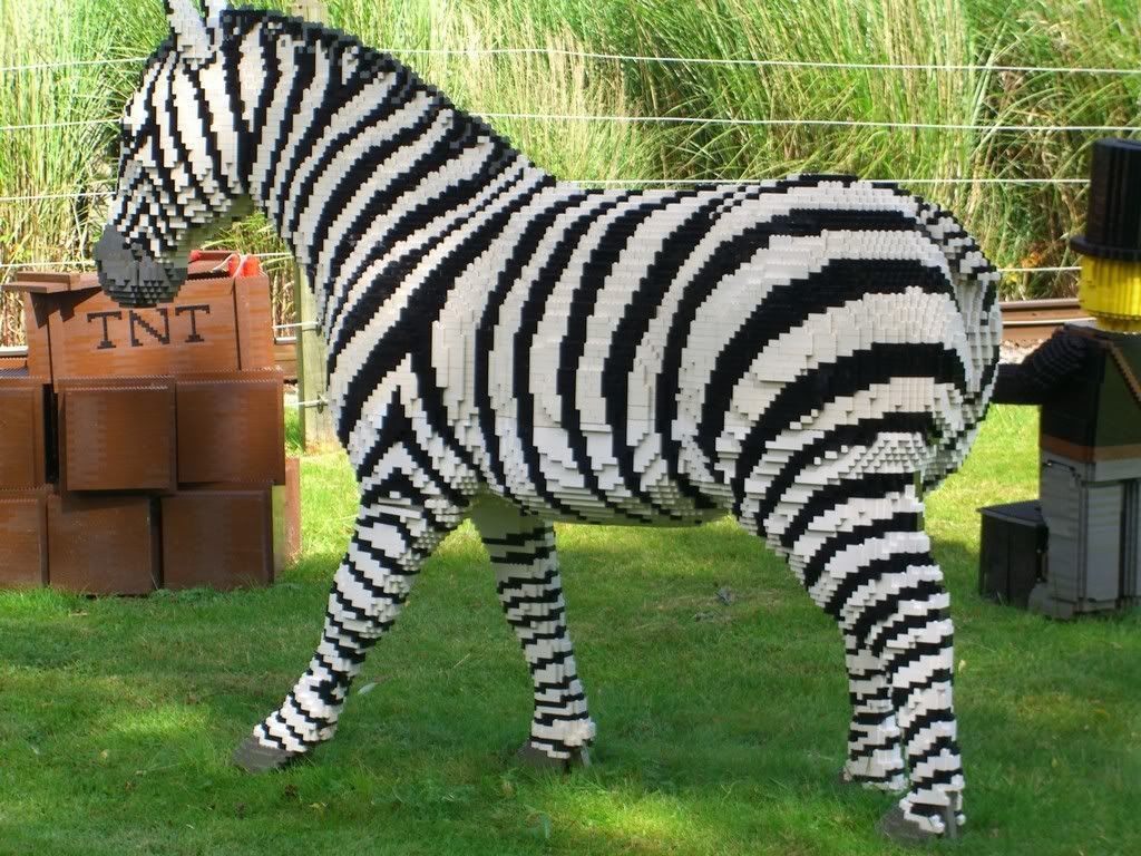 Lego Zebra Photo by supermatt190 Photobucket