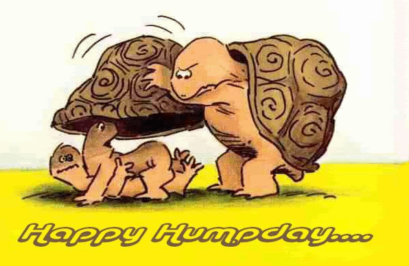 humpday photo: humpday humpday.gif