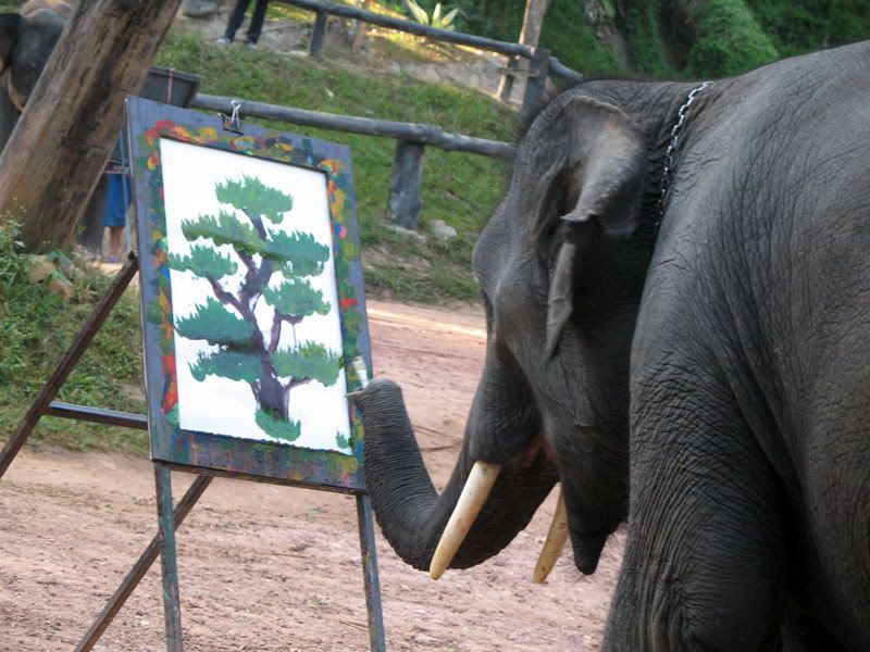Creativity By Elephants