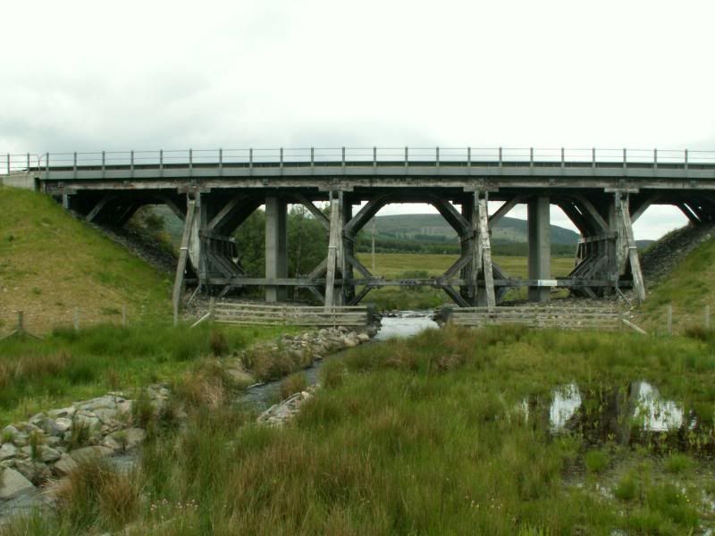 bridge5.jpg