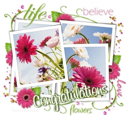 congratulations_flowers_vd1.jpg 432 image by puppielove06