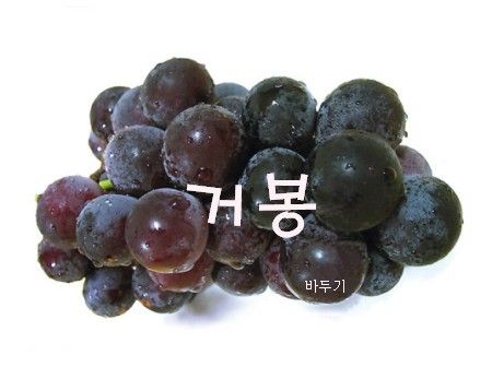 grape2.jpg