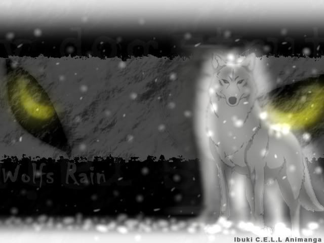 wolf desktop wallpaper. wolf rain wallpaper Image