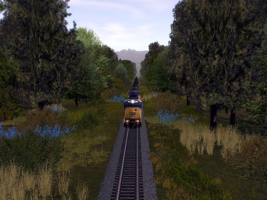 trainz2011-04-1512-44-35-25bmp.jpg