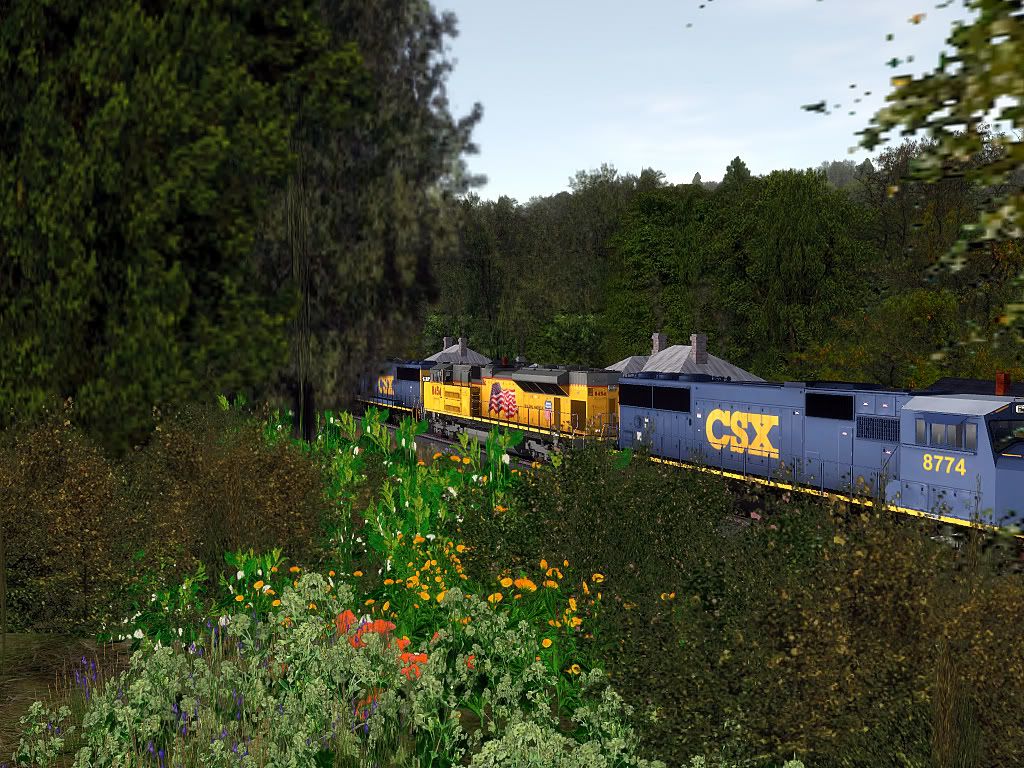 trainz2011-04-1512-45-58-46bmp.jpg
