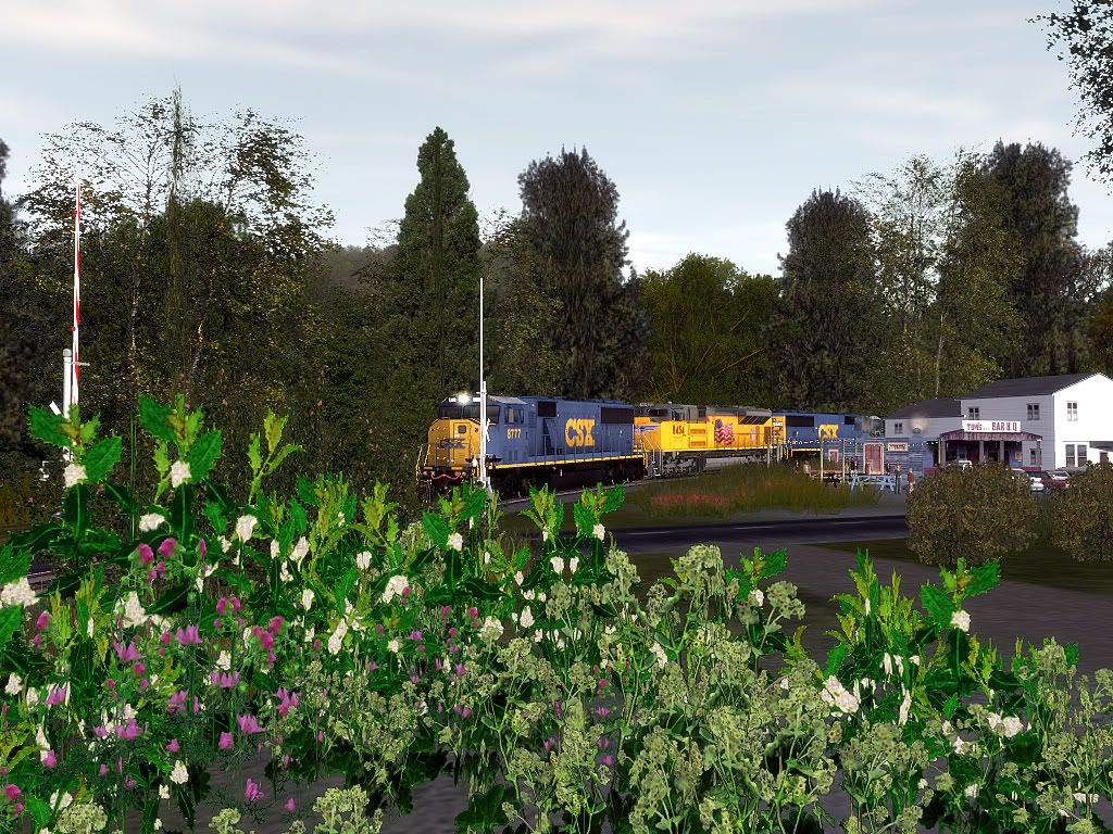 trainz2011-04-1512-48-36-84bmp.jpg