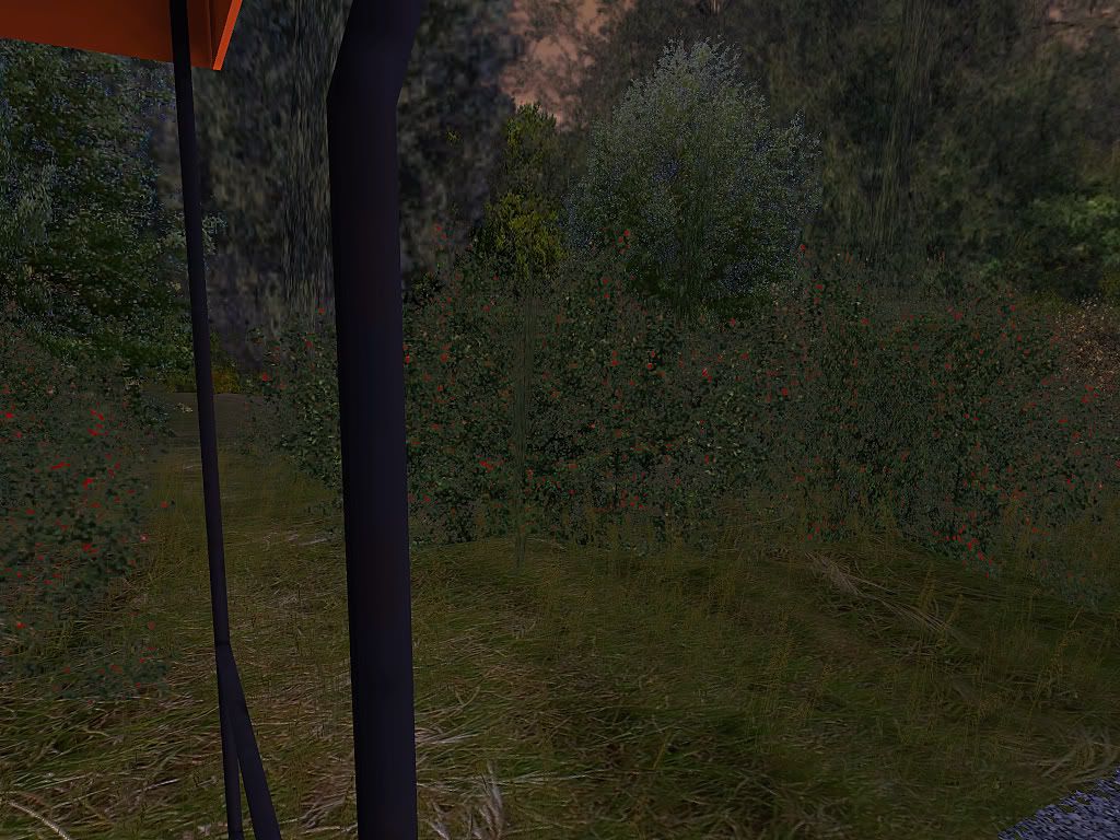 trainz2011-07-1212-28-59-15bmp.jpg