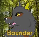 Bounder Avatar