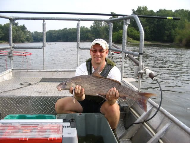 Bigbluesucker.jpg
