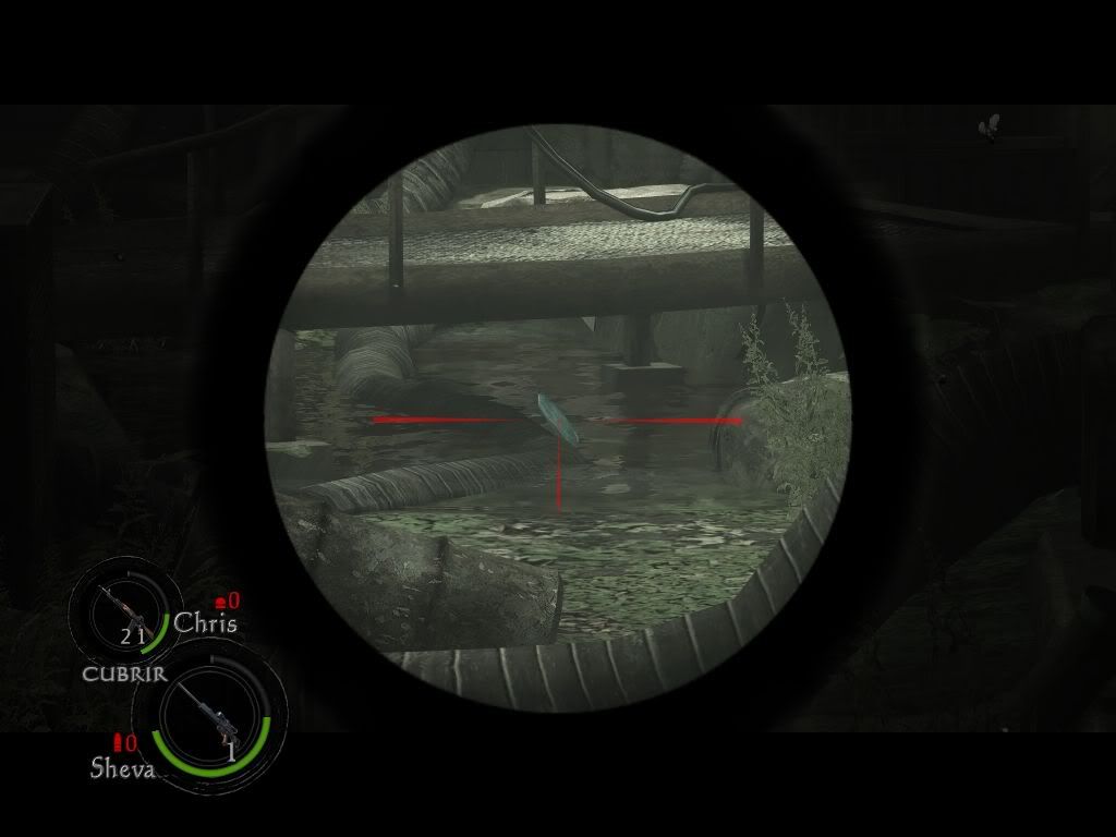 BSAA BSAA