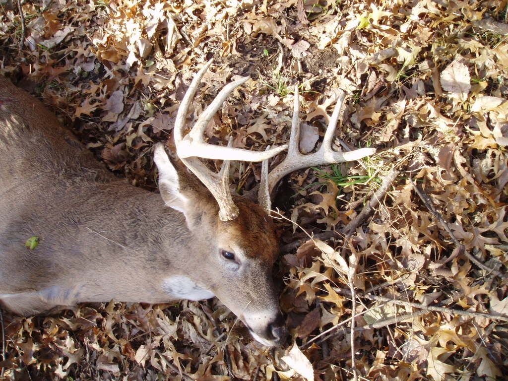 Harrison county, Missouri info. Archery Talk Forum