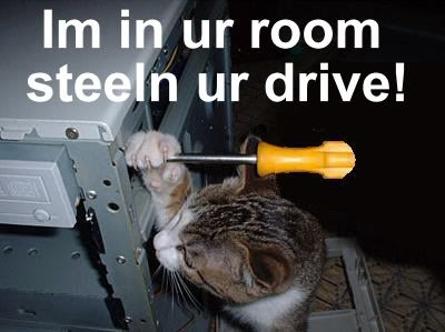 DriveCat.jpg