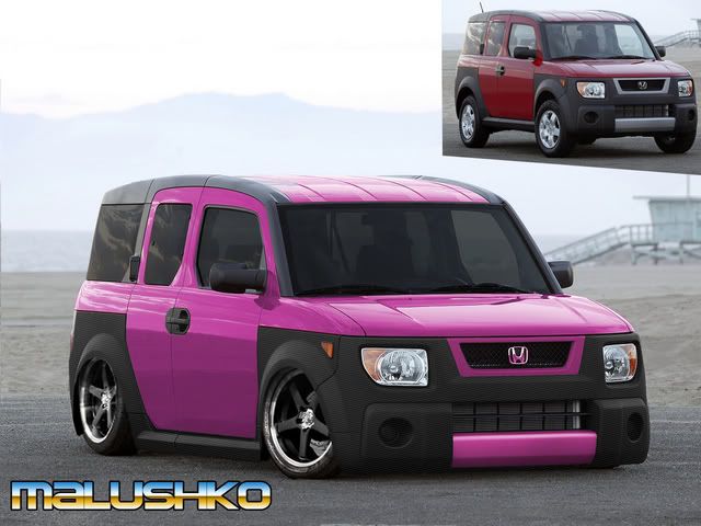 Tricked out honda element