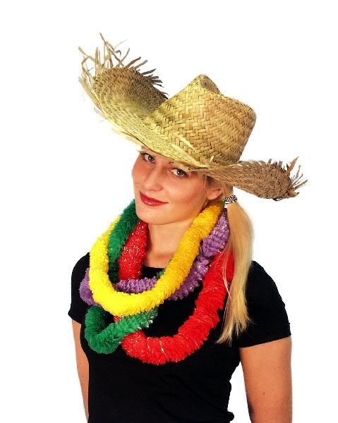 34197.jpg Hawaiian Party Leis Multi Cols image by Partypackage