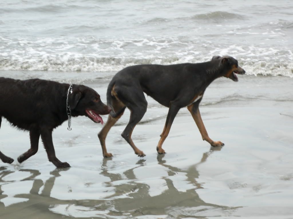 JoseyHomeandDogBeach034.jpg