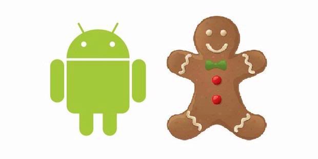 Gingerbread Aka leaks Android 3.0, when released?
