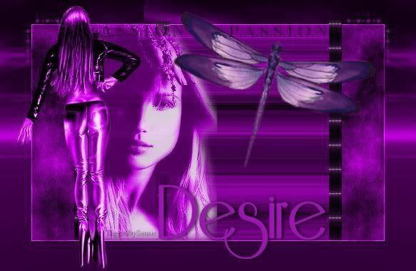 deire & Butterflys in purple Pictures, Images and Photos