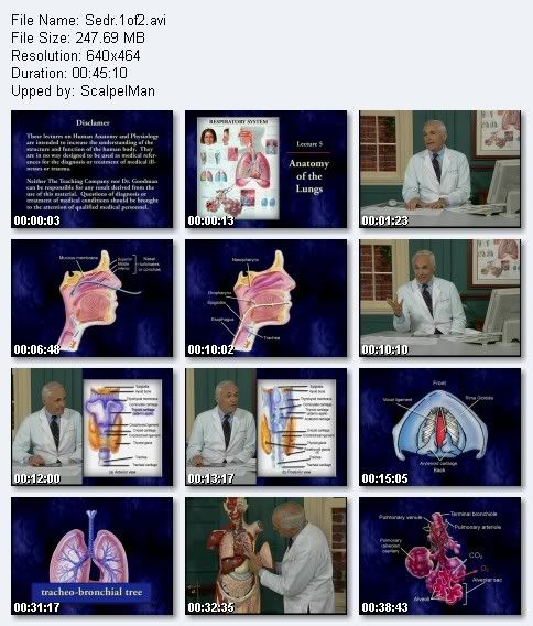 functions of respiratory system. Respiratory System: Tied