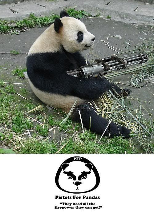 funny animals with guns. funny pictures of animals with