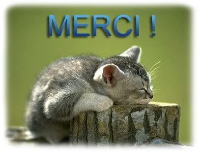 merci2.jpg image by alegna76