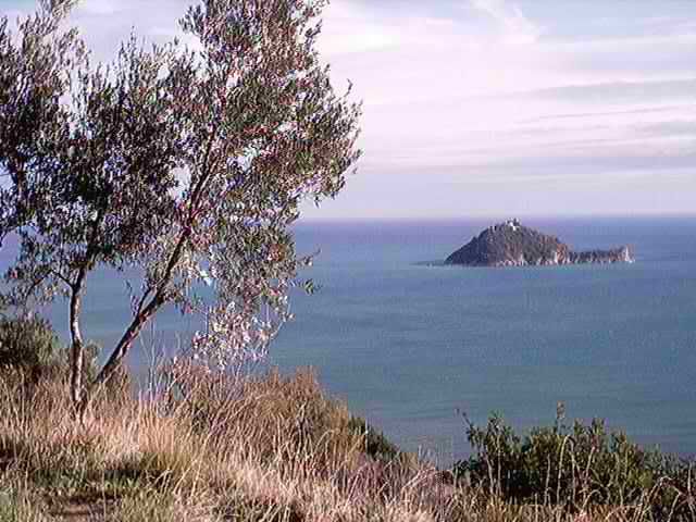 l'isola Gallinara a mezzogiorno