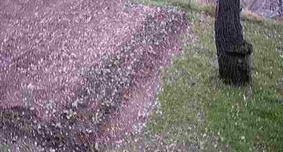 effetto neve