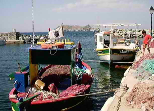 barche da pesca