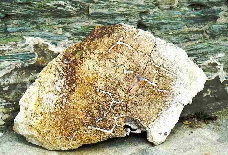 Il frammento di ziro
