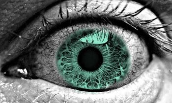 green eye color splash Pictures, Images and Photos