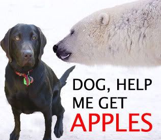 dog_apples.jpg