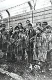 Concentration Camps