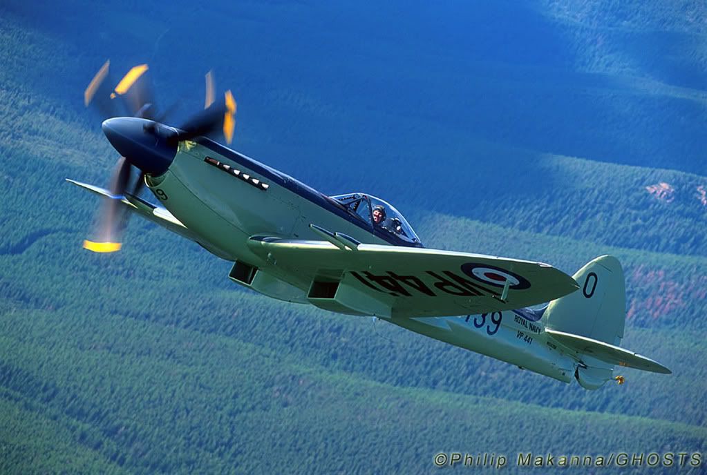 [Image: 9319SEAFIRE_jpg.jpg]