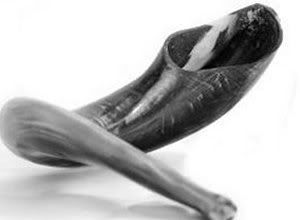 shofar