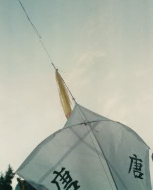 kites