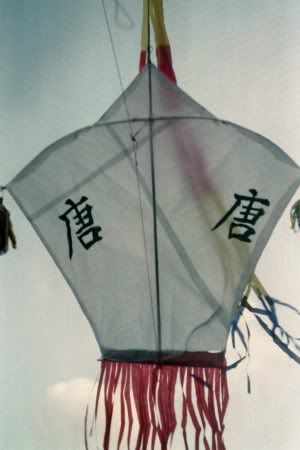 kites