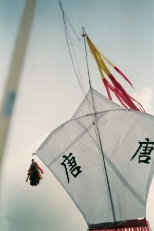 kites