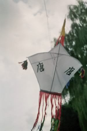 kites