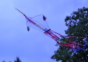 kite frame