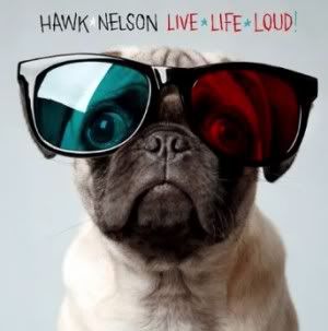 hawk nelson