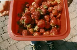 strawberries