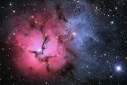 trifid nebula in stars and dust
