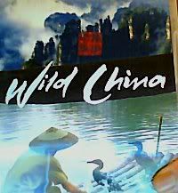 wild china