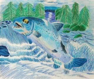 Salmon drawing