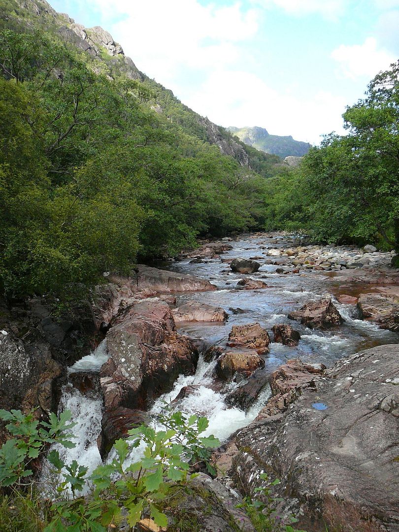 P1070634.jpg