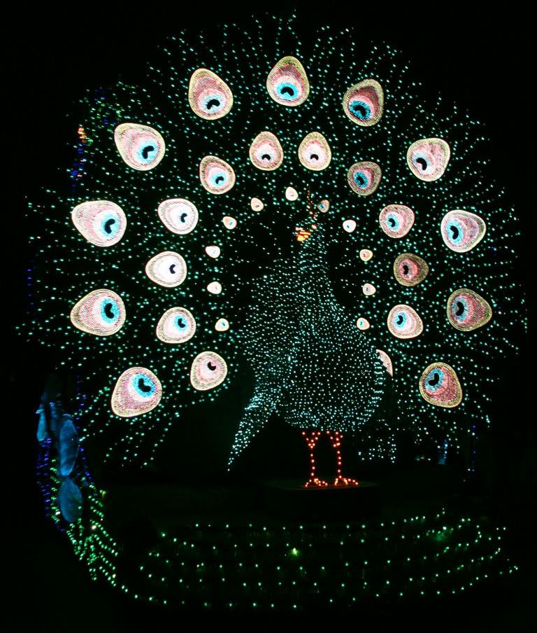 183SpectroPeacock.jpg