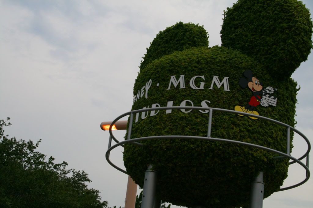 242MGM.jpg